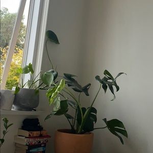 Meet your Posher, Elise